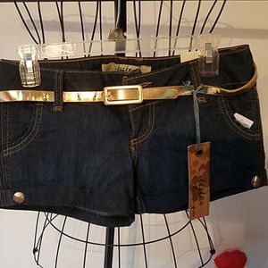 American standard tyte shorts